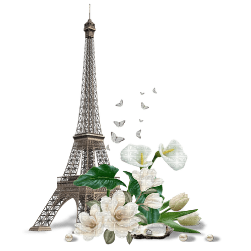 Paris Flower - Bogusia - png grátis