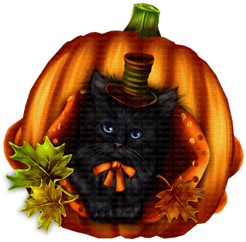 Autumn.Halloween.Cat.Black - png ฟรี