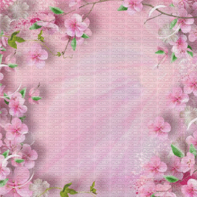 Background, Backgrounds, Flower, Flowers, Deco, Pink, Gif - Jitter ...
