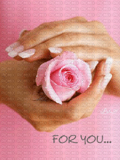 rosa para ti - 無料のアニメーション GIF