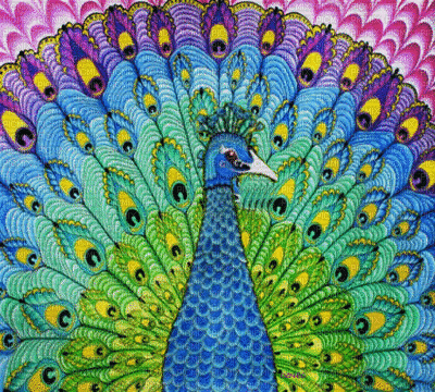 Peacock bp - Gratis geanimeerde GIF