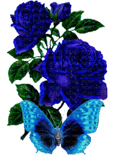 Roses - Δωρεάν κινούμενο GIF