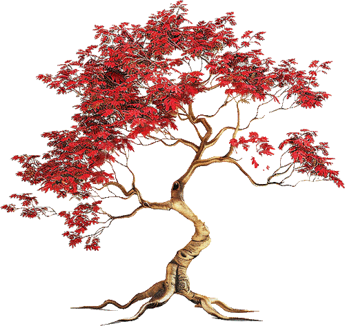 ♡§m3§♡ Japanese red animated gif tree - Free animated GIF