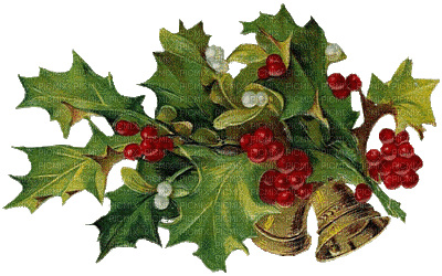 branch Christmas decoration_branche Noël décoration - GIF animé gratuit