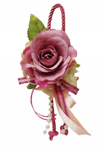 pink rose - darmowe png