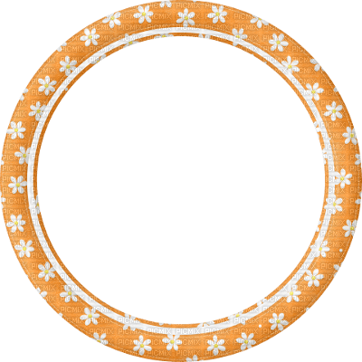 orange circle frame - PNG gratuit