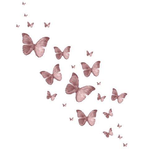 kikkapink  butterflies butterfly fantasy - PNG gratuit