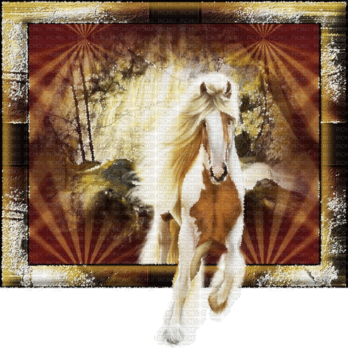 pferd horse milla1959 - Безплатен анимиран GIF