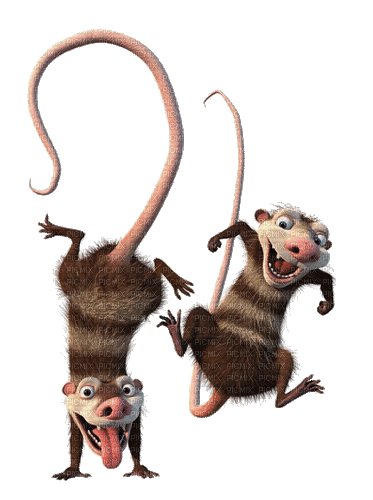 ratte - GIF animasi gratis