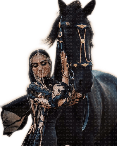 Rena Pferd schwarz Asiantin Frau - darmowe png