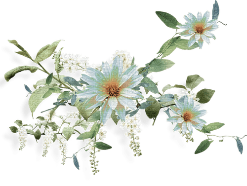 Spring.Branch.White flowers.Victoriabea - darmowe png