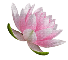 Kaz_Creations Deco Flower - png gratuito