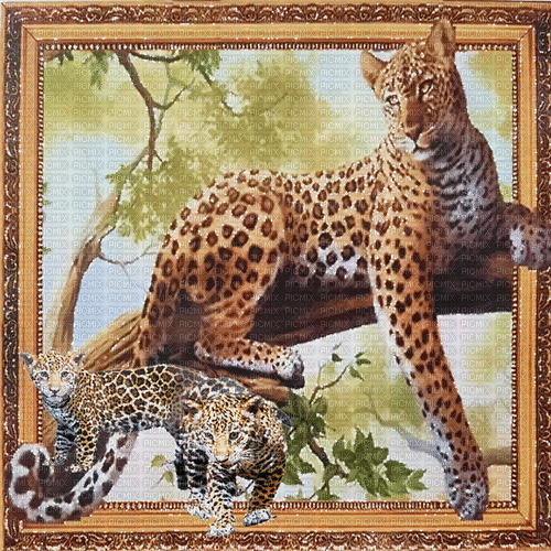 leopard milla1959 - GIF animé gratuit