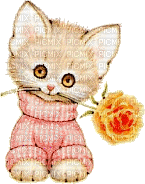 chat et une rose - Animovaný GIF zadarmo