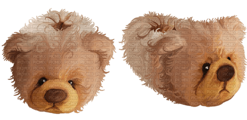 schuh teddy - Free PNG