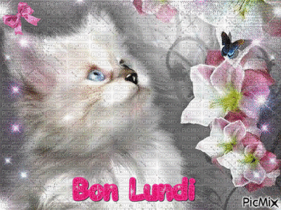 bon lundi - Zdarma animovaný GIF