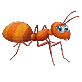 Kaz_Creations Cartoon Red Ants - png gratuito