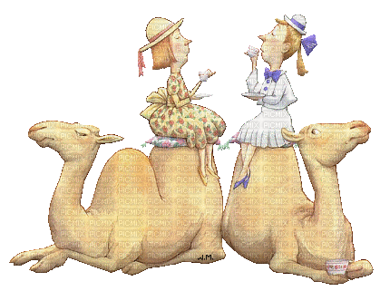 dolceluna camel  funny femmes femme woman women - Ingyenes animált GIF
