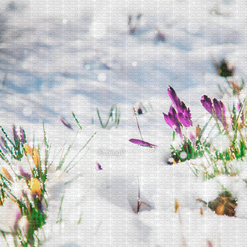 Y.A.M._Spring background - GIF เคลื่อนไหวฟรี