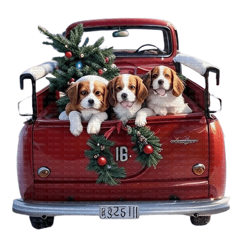 dog, hund, christmas - png gratuito