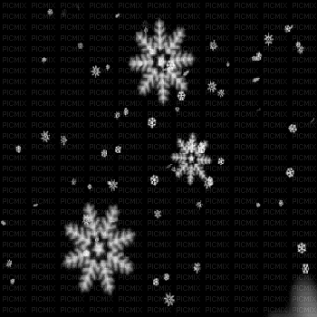 snow  black bg gif flocons de neige fond black - Ingyenes animált GIF