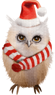 Christmas birds bp - PNG gratuit