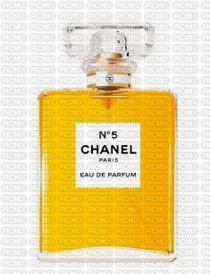 Chanel - nemokama png