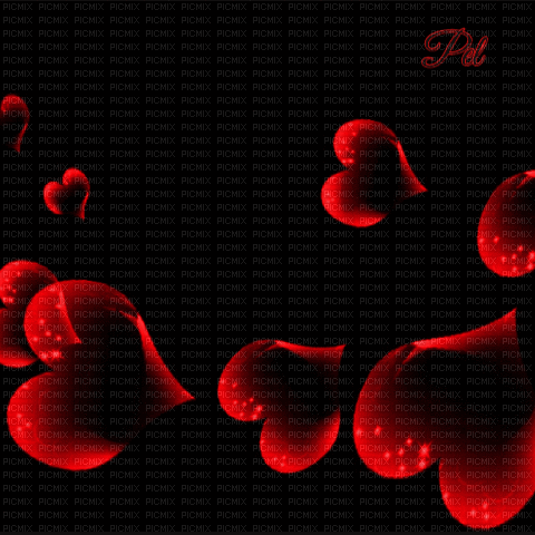 fond,GIF, animation, noir, rouge, coeur,Pelageya - Ilmainen animoitu GIF