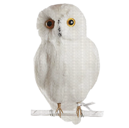 owl - nemokama png