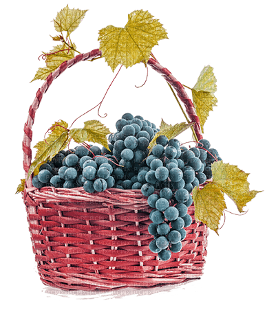 Grapes   Bb2 - png gratuito