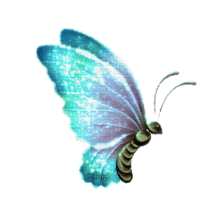 Y.A.M._Fantasy butterfly - Nemokamas animacinis gif