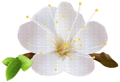 Kaz_Creations Flowers Flower Branch - 免费PNG