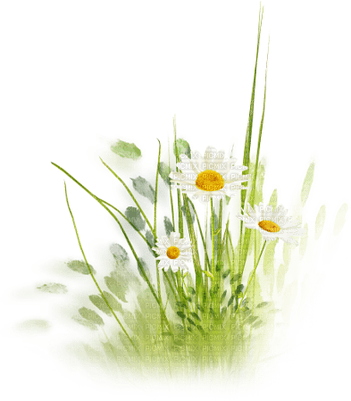 soave deco spring flowers grass daisy yellow green - gratis png