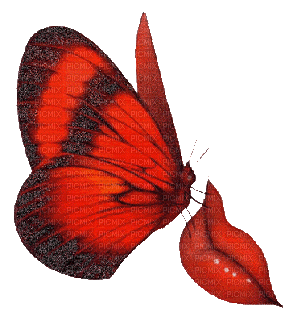 Kaz_Creations Butterflies Butterfly Animated - GIF animé gratuit