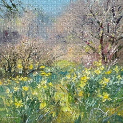 Daffodils Background - besplatni png