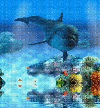 dauphin - 無料のアニメーション GIF
