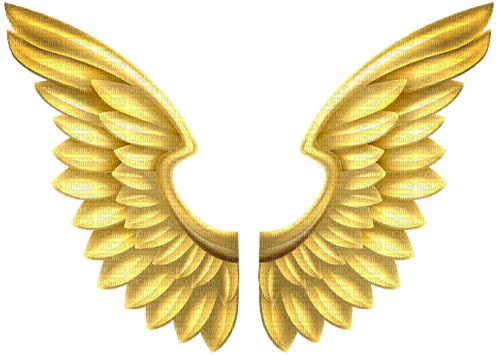 Wings Gold - Bogusia - ücretsiz png