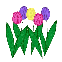 flowers - Бесплатный анимированный гифка