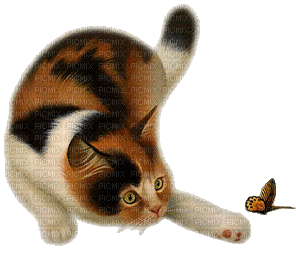 dolceluna spring cat vintage deco butterfly - Ingyenes animált GIF