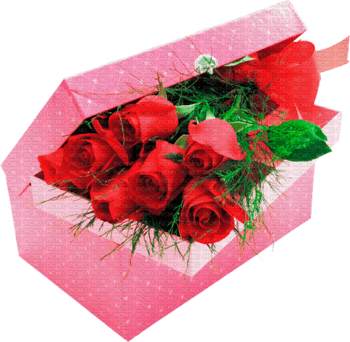 Y.A.M._Flowers bouquets - png gratuito