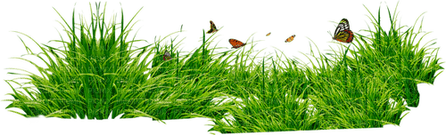 spring grass butterfly - безплатен png