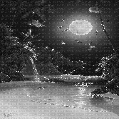 soave background animated summer night tropical - 無料のアニメーション GIF