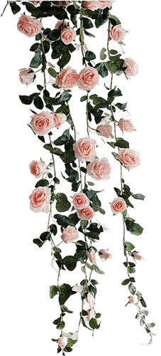 Roses Flowers.Branch.Fleurs.Pink.Victoriabea - PNG gratuit