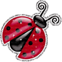 Kaz_Creations Ladybugs Ladybug - GIF เคลื่อนไหวฟรี