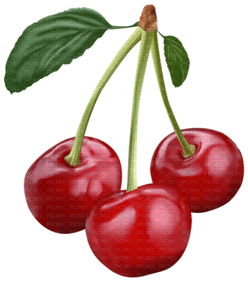 fruit cherries bp - zdarma png