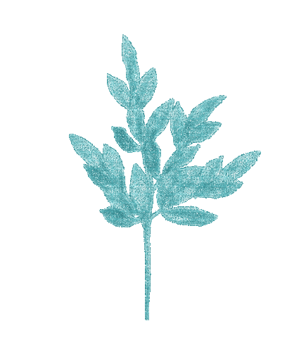turquoise branch - Darmowy animowany GIF