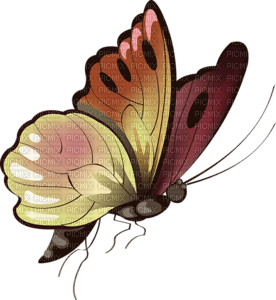 mariposa - gratis png