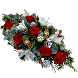 minou-Christmas-flowers-deco - zdarma png