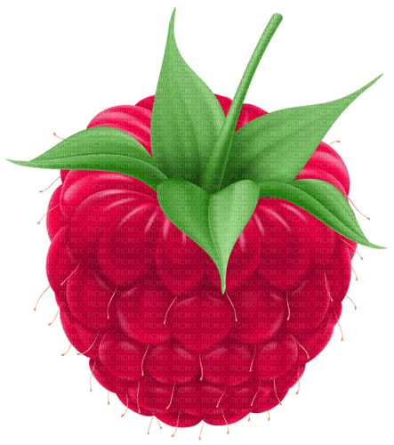 raspberry Bb2 - darmowe png