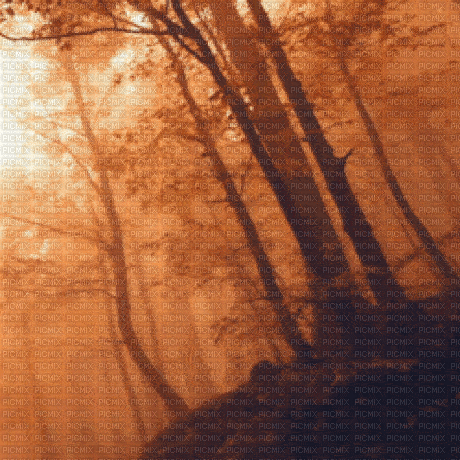 Autumn.Automne.Fond.gif.Victoriabea - Bezmaksas animēts GIF